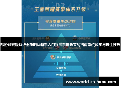 欧协联赛程解析全攻略从新手入门到高手进阶实战指南系统教学与投注技巧