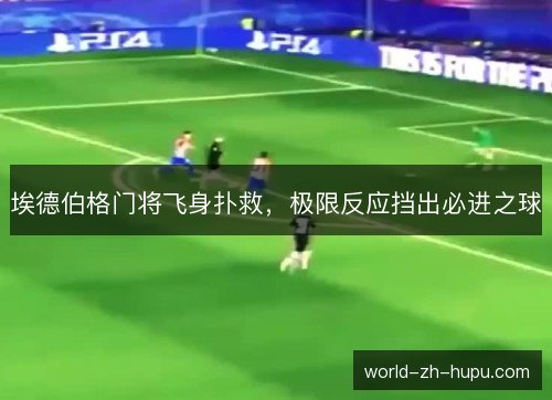 埃德伯格门将飞身扑救,极限反应挡出必进之球 埃德伯格门将飞身扑救,极限反应挡出必进之球